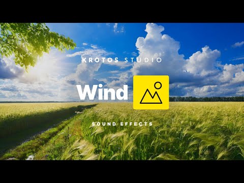 Wind Sound Effects | 100% Royalty Free No Copyright Strikes