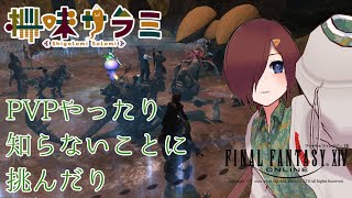【 #ff14 】PVPやったりカードやったり……【VTuber/柵味サラミ】