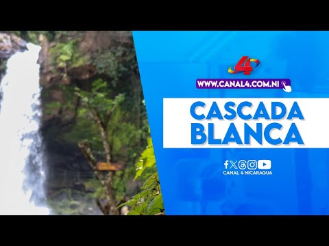 Canopy tour La Brellera, un sitio para vivir una aventura extrema en Jinotega