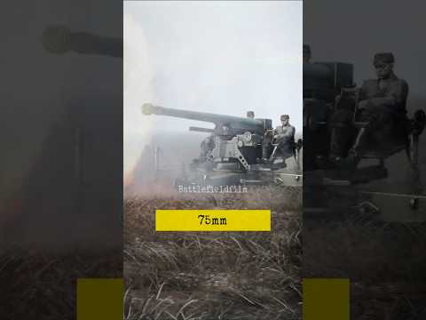 WWII Game: Finnish AT Guns of All Calibers #ww2