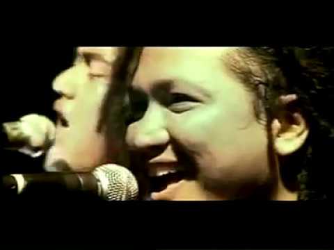 Steven & Coconuttreez   - Live Acoustic