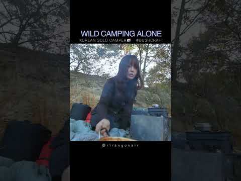 #shorts WILD CAMPING ALONE / solo camping / bushcraft