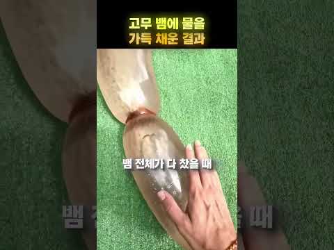 물을 넣었더니 <strong>뱀이</strong> 터졌다 😂🐍