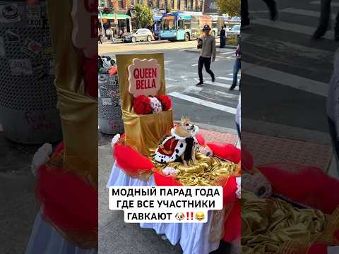 Парад, где все гавкают #shortvideo #жизньвсша #вау #funny #america #сша #собака #short #doglove