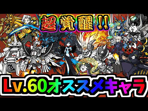 Lv.60にして特に良かったキャラクターTop4 2024年バージョン　【にゃんこ大戦争】