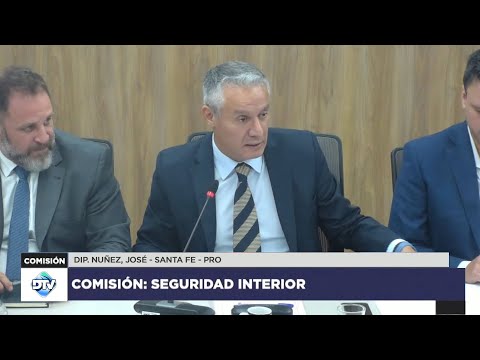 COMISIÓN EN VIVO: SEGURIDAD INTERIOR - 24 de abril de 2024 - Diputados Argentina