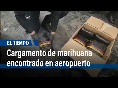 Un cargamento de 111 kilos de marihuana fue encontrado en el aeropuerto el Dorado | El Tiempo
