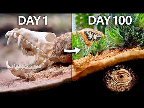 Simulating Africa for 100 Days Try Opera browser FOR FREE here_ https_//opr.as/Opera-browser-thedrplants

Africa is one of the most