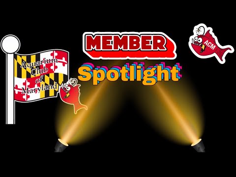 ACM MEMBER SPOTLIGHT on Spider farmers grow kit fr This weeks member spotlight is from @BigStevesGlassBoxes an ACM member and auctioneer. Steve is into