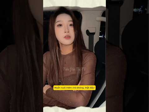 Cái gì em cũng có thể nói🤣 #tieuyenthitv #shortvideo #reviewphim #funny #haihuoc #viral #giaitri