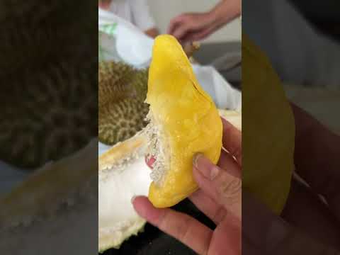 Lại vô mùa sầu riêng ngon lắm luôn