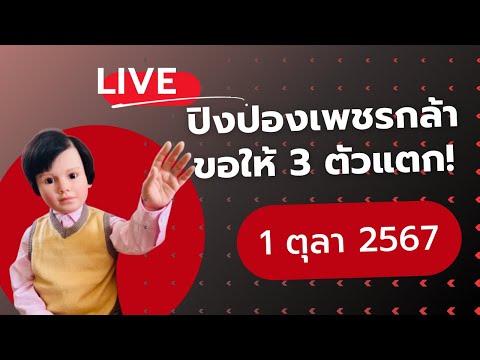 ปิงปองเพชรกล้า1ตุลา2567