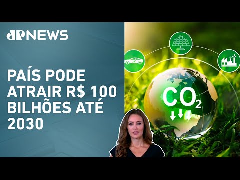 Senado aprova regulamentação do mercado de carbono; Patrícia Costa analisa