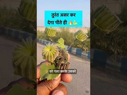 #plant #botanylovers #botany #plantfacts ♥️🙏💯🌱