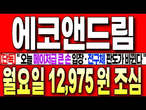 [에코앤드림 주가전망][단독] " <strong>오늘</strong> 조 단위 메이저급 큰 손 입장 ! 전구체 판도가 바뀝니다! " 월요일 12,975 <strong>원</strong> 조심 #에코앤드림 #하이니켈전구체 #새만금산단 #NCM