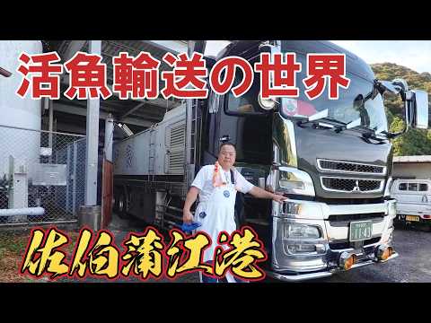 【活魚輸送の世界】大分佐伯の水産会社へ潜入!初めて見る養殖場は圧巻だった。