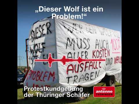 Beste Spielothek in Waltersleben finden Beste Spielothek in Waltersleben finden