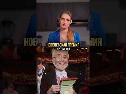 Научный метод - разгрузочная диетотерапия