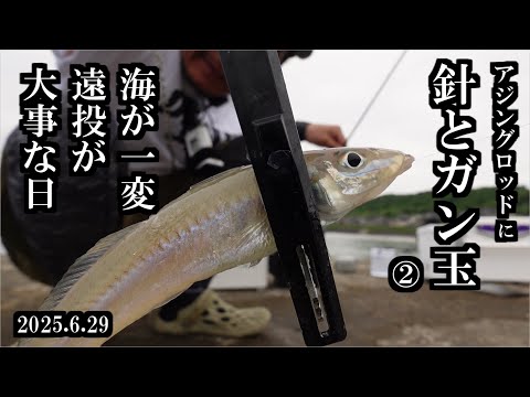 【2025初心者キス釣り②】また。ちょい投げしてきました。三陸つりしとがんせ　vol 92