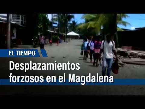 Desplazamientos forzosos en el Magdalena por enfrentamientos de grupos armados | El Tiempo