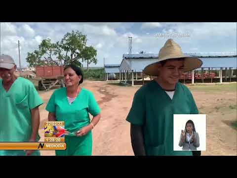Cuba/Pinar del Río: Continúa recuperación avícola tras el paso del huracán Ian