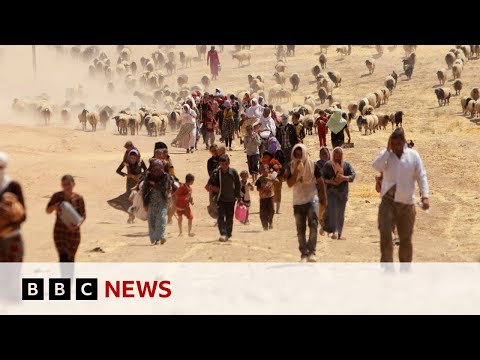Iraq’s Yazidis fight for justice | BBC News