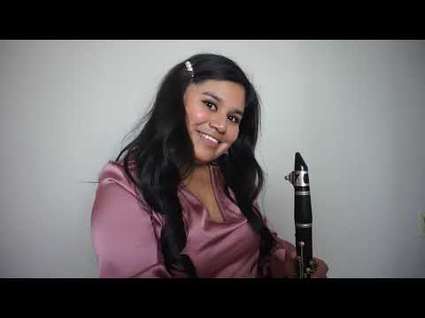 Anti-Hero - Taylor Swift (Clarinet Cover)