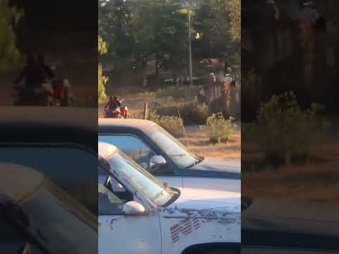 Caballito bailador en Michoacán 🌲❤️ #regionalmexicano #musica #travel #atardecer #caballos #shorts