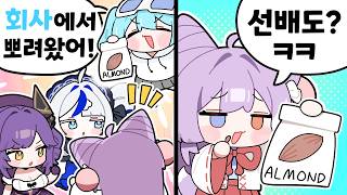 스텔라이브 탕비실 아몬드 도둑 시부키