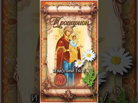 3 июля Косинская икона Божией Матери (ок. 1717г)