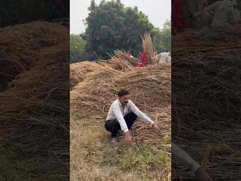 मेरे साथ सही हुआ है या ग़लत😂 #comedy #comedymove #comedyfilms #like #funny #youtubeshorts #follow