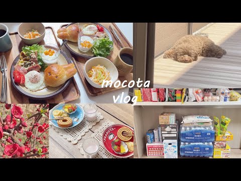 〔VLOG〕備えを考えながら1日1日を樂しく過ごす主婦の日常/ゆずのロンパース完成/購入品紹介