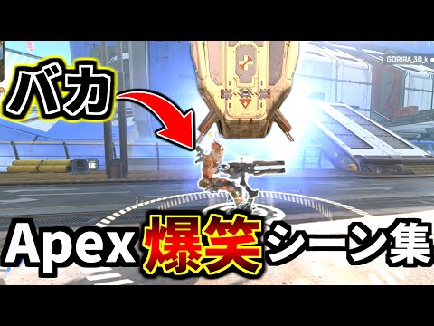 【爆笑】Apex Legends 冒頭面白クリップ集 Part8 『酢酸キャノン、Rasと叶のチキンレース』