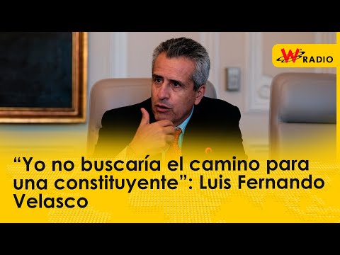 “Yo no buscaría el camino para una constituyente”: Luis Fernando Velasco