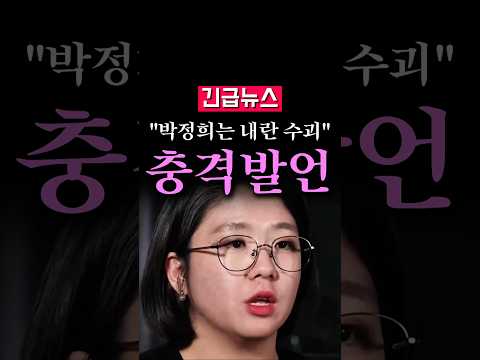 (속보) 용혜인, "박정희, 전두환은 <strong>내란</strong> 수괴"