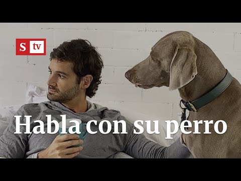 La historia del hombre que habla con su perro | Videos Semana