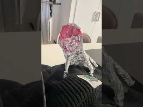 陽春咕咕嘎嘎 gu gu ga ga 🤣