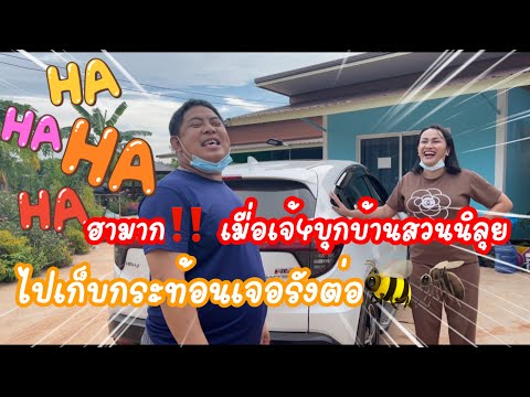 ฮามาก‼️-เมื่อเจ้4บุกบ้านสวนนิล ฮามาก‼️-เมื่อเจ้4บุกบ้านสวนนิล