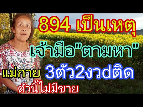 แม่กายเรียกหา894ที่มา3ตัว2งวd