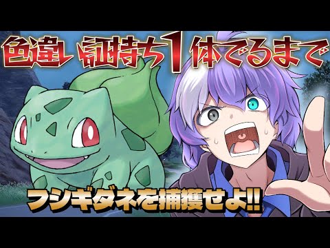 thumbnail_M6cm_pgyAqc