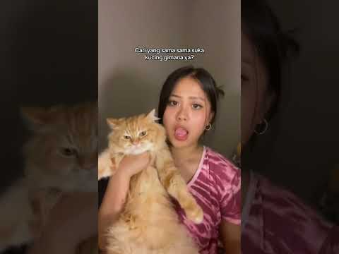 Cariin dong #shortvideo #kucinganggoralucudanimut