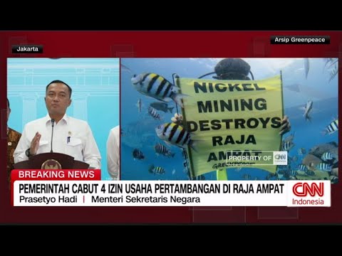 Pemerintah Cabut 4 Izin Usaha Pertambangan di Raja Ampat