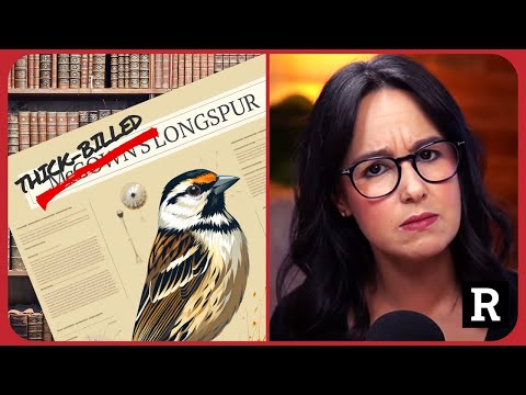 Birds are RACIST? WTF???