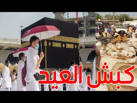 اضحى العيد  |  السلطة الرابعة  |  قناة الهوية