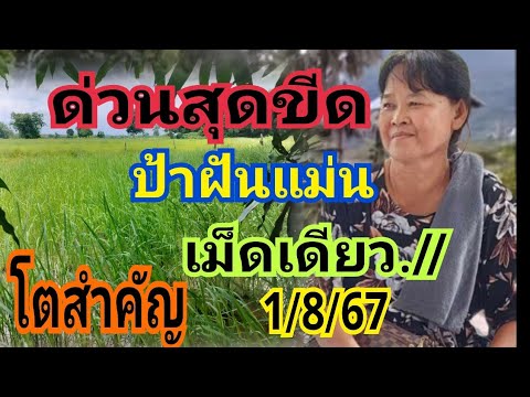 ด่วนสุดขีดป้าฝันแม่นมาด่วนๆร