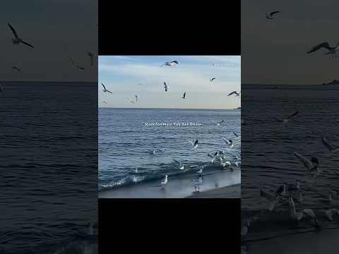 Isq Rish🕊️| Aesthetic Lyrics Status | Romantic Sad Song | Heart Touching Love Status #shorts #lyrics