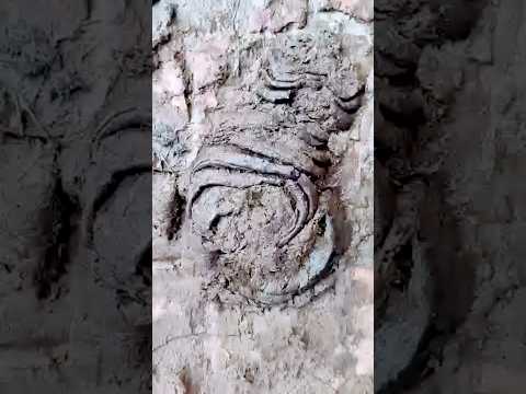 टट्टी शॉर्ट्स 😅😂!! FUNNY STRIKER 😄#shorts #viral #trending #comedy #funny #realfools #ytshorts