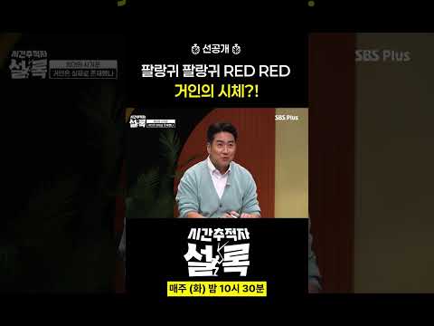 팔랑귀 팔랑귀 red red #시간추적자설록 #선공개