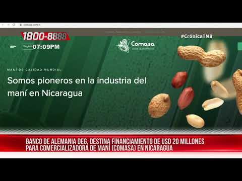 Destinan USD 20 millones para comercializadora de maní en Nicaragua