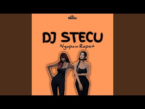 DJ Stecu X Ngapain Repot